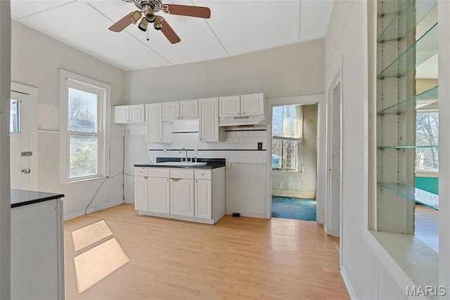 104 S 4th St, De Soto, MO 63020 - kitchen with under cabinet range hood, dark countertops, ceiling fan, and healthy amount of natural light