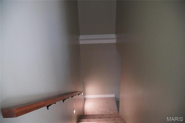 stairs featuring carpet