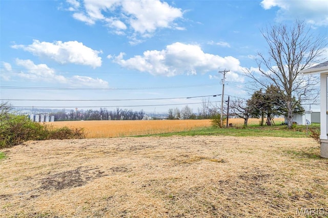 1121 E Cap Au Gris St, Troy, MO 63379 - view of yard