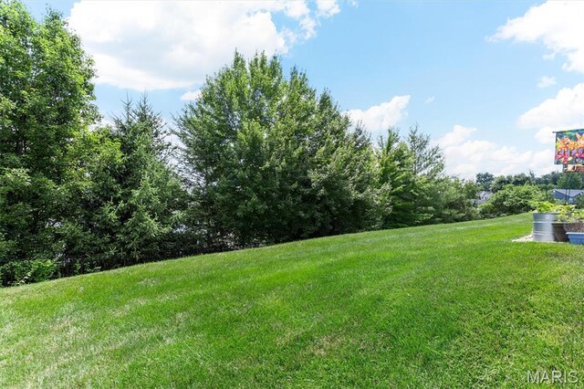 10 Eliot Ct, Ofallon, MO 63366 - photo 7