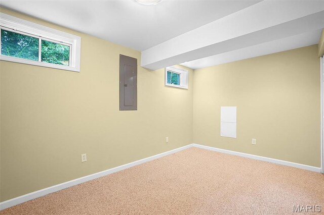 5812 Forest Dr, Hillsboro, MO 63050 - photo 38