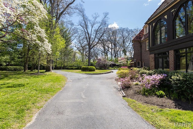 8 Carrswold Dr, Clayton, MO 63105 - view of road