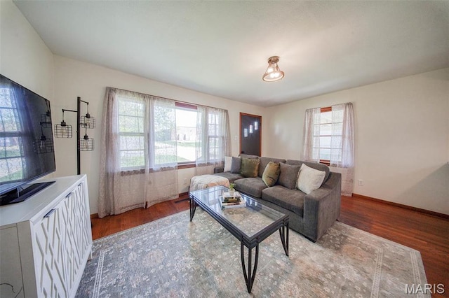 1003 S Warfel St, Salem, MO 65560 - living room featuring wood finished floors and baseboards