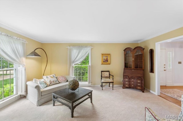 14590 Ansonborough Ct, Chesterfield, MO 63017 - living area with healthy amount of natural light, crown molding, carpet, and baseboards
