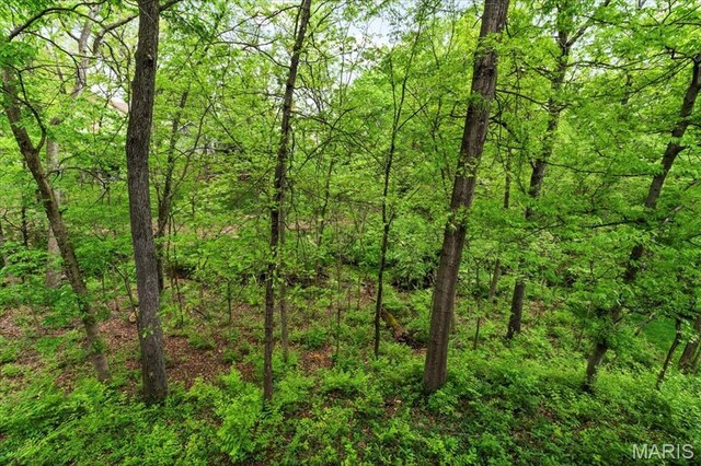 14590 Ansonborough Ct, Chesterfield, MO 63017 - view of tree filled area