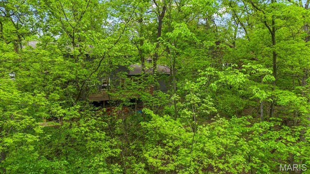14590 Ansonborough Ct, Chesterfield, MO 63017 - view of wooded area