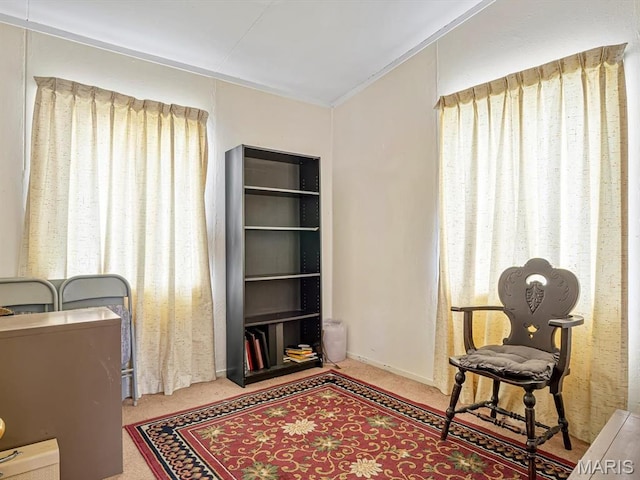 1120 Saint Michael Dr E, St Louis, IL 62206 - office space with crown molding and carpet floors