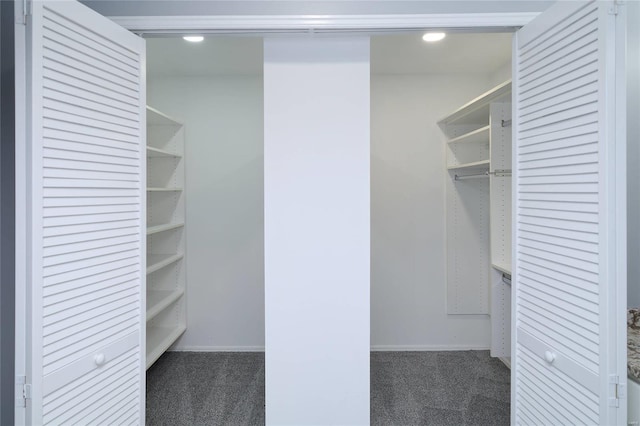 572 Coeur De Royale Dr Unit 108, Saint Louis, MO 63141 - walk in closet featuring carpet floors