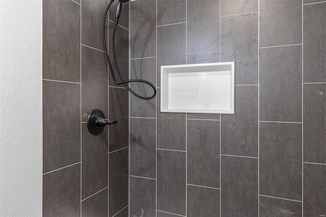 308 Blackberry Ln, Bismarck, MO 63624 - bathroom view of tiled shower
