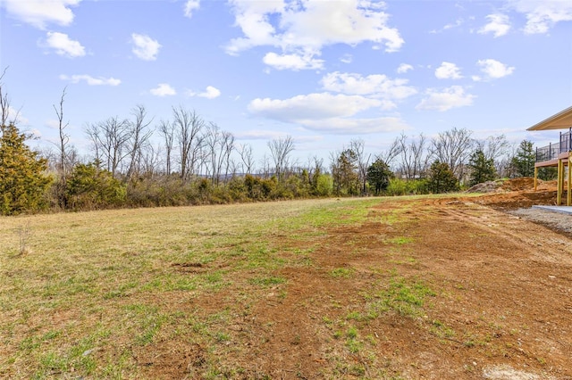 308 Blackberry Ln, Bismarck, MO 63624 - view of yard