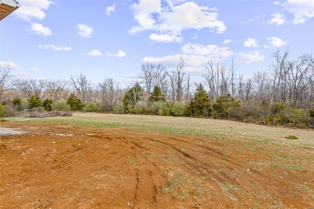 308 Blackberry Ln, Bismarck, MO 63624 - view of yard