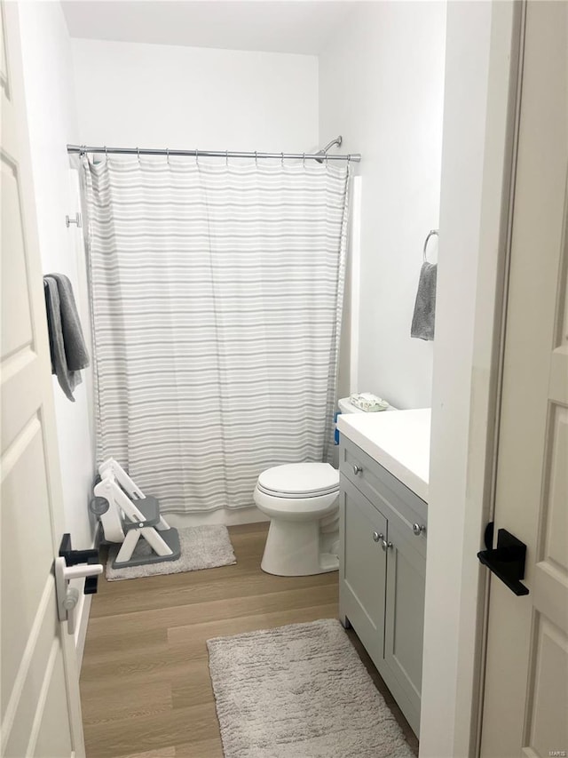 1564 Mandy Ln, Barnhart, MO 63012 - full bath with wood finished floors, toilet, vanity, and curtained shower