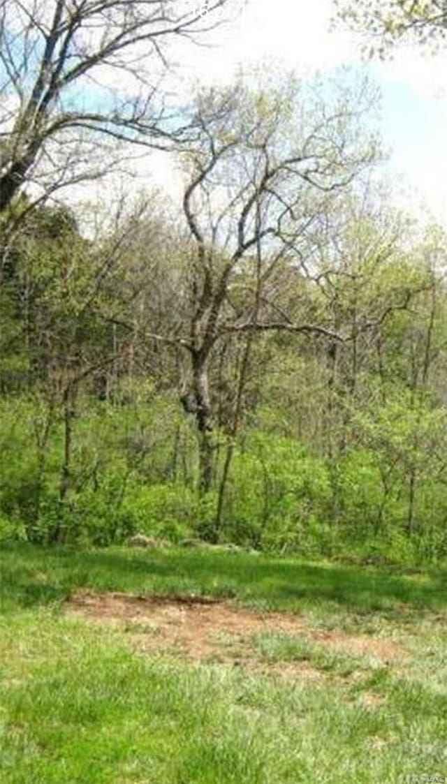 1564 Mandy Ln, Barnhart, MO 63012 - view of woods