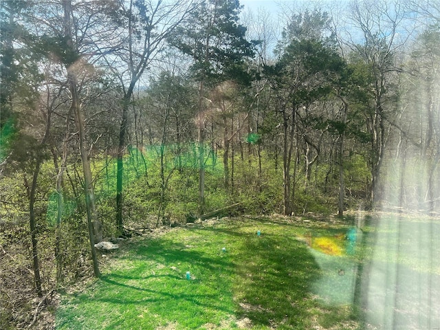 1564 Mandy Ln, Barnhart, MO 63012 - view of woods
