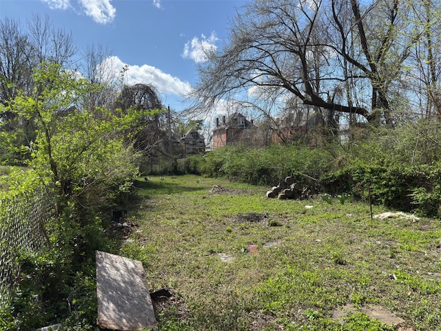5674 Cabanne Ave, Saint Louis, MO 63112 - view of yard