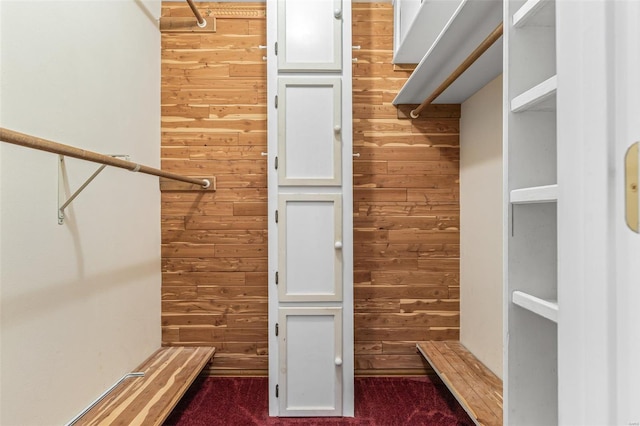 29 Park Charles Blvd N, Saint Peters, MO 63376 - spacious closet featuring dark colored carpet