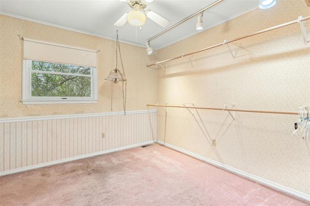 29 Park Charles Blvd N, Saint Peters, MO 63376 - walk in closet with a ceiling fan and carpet floors