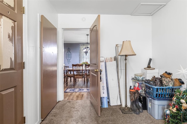 8 Donald St, Park Hills, MO 63601 - hallway with carpet flooring