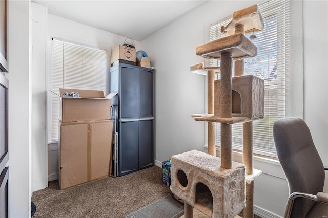 8 Donald St, Park Hills, MO 63601 - home office with carpet floors and baseboards
