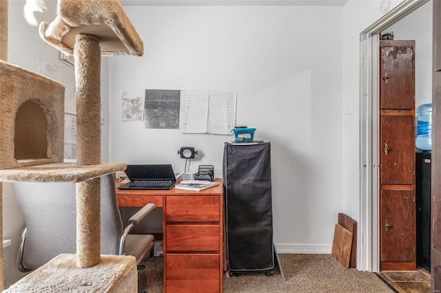 8 Donald St, Park Hills, MO 63601 - office space featuring carpet floors and baseboards