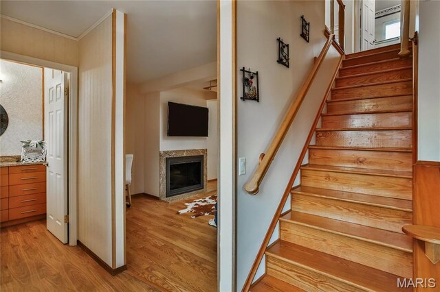 1156 Toreador Dr, Saint Louis, MO 63141 - photo 15