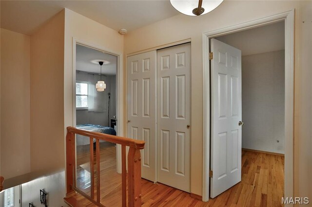 1156 Toreador Dr, Saint Louis, MO 63141 - photo 37
