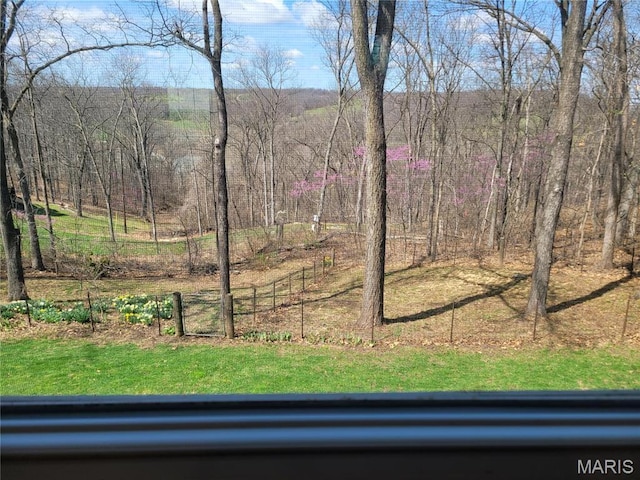 123 El Rancho Dr, Hannibal, MO 63401 - view of yard