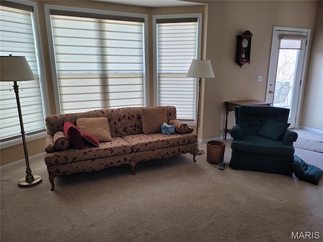 123 El Rancho Dr, Hannibal, MO 63401 - living room featuring carpet flooring and baseboards