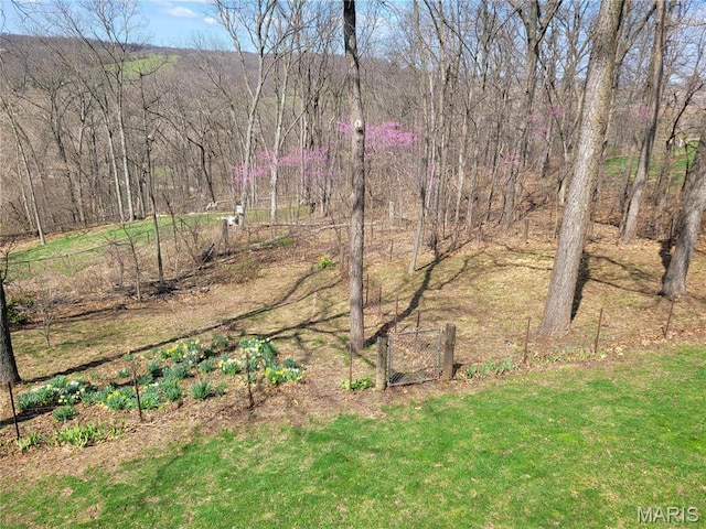 123 El Rancho Dr, Hannibal, MO 63401 - view of yard featuring a gate and a wooded view