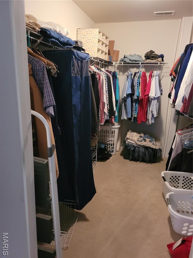 123 El Rancho Dr, Hannibal, MO 63401 - spacious closet with carpet floors