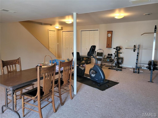 123 El Rancho Dr, Hannibal, MO 63401 - workout room featuring carpet flooring