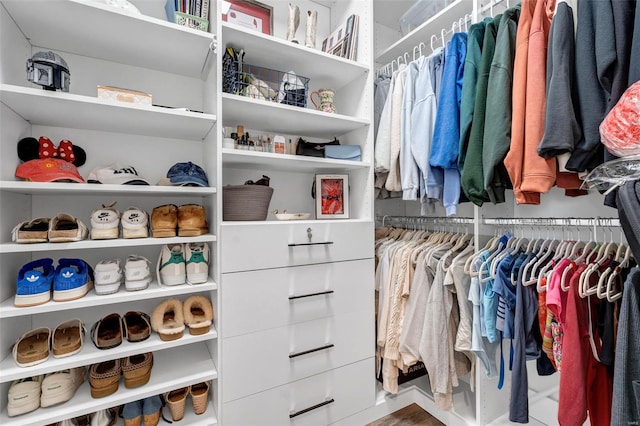 view of walk in closet