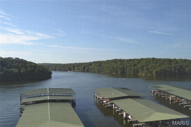 dock featuring a wooded view and a water view