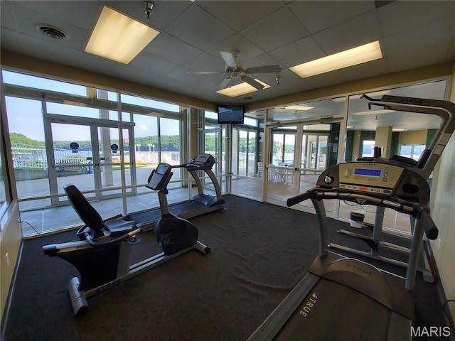 exercise room featuring french doors, a drop ceiling, a ceiling fan, and carpet floors