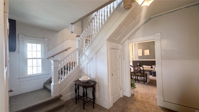 stairs with carpet and wainscoting