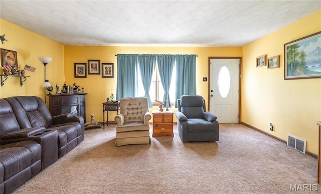4434 County Road 4110, Salem, MO 65560 - living area featuring carpet and a textured ceiling
