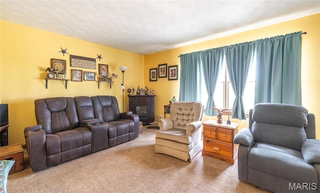 4434 County Road 4110, Salem, MO 65560 - view of carpeted living area