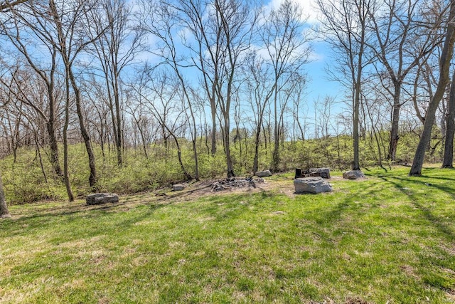 21933 Pike 215, Annada, MO 63330 - view of green lawn