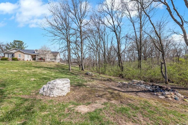21933 Pike 215, Annada, MO 63330 - view of green lawn