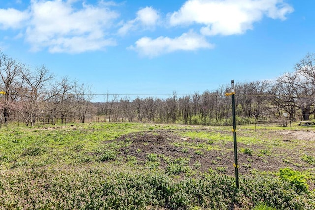 21933 Pike 215, Annada, MO 63330 - view of yard with a wooded view and a view of rural / pastoral area