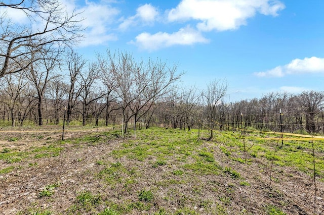 21933 Pike 215, Annada, MO 63330 - view of wooded area