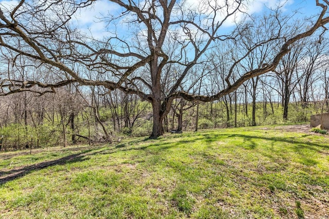 21933 Pike 215, Annada, MO 63330 - view of grassy yard featuring a view of trees