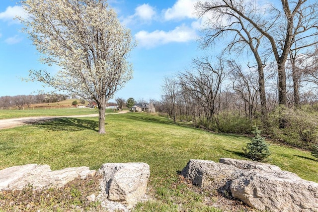 21933 Pike 215, Annada, MO 63330 - view of grassy yard