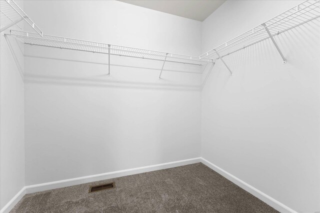 1719 Ambrose Terrace Dr, Swansea, IL 62226 - spacious closet featuring carpet floors