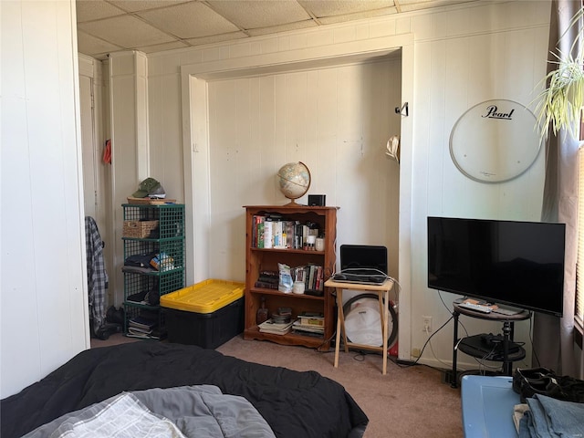 bedroom with carpet flooring