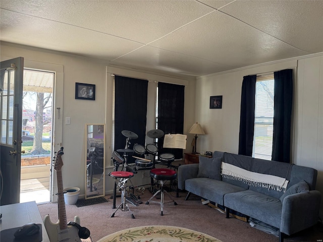 living area featuring carpet floors and a textured ceiling
