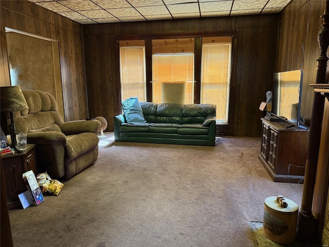 carpeted living area with wooden walls