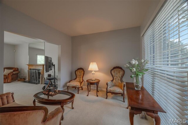 1005 Highland Estates Dr, Wentzville, MO 63385 - living area featuring carpet flooring, plenty of natural light, and baseboards