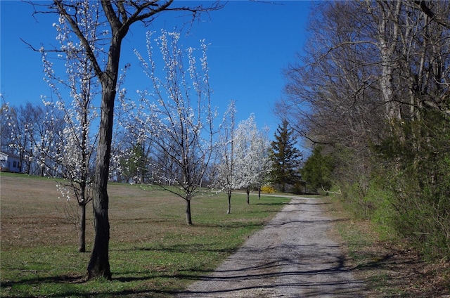 1077 Creech School Rd, Troy, MO 63379 - view of dirt / gravel road