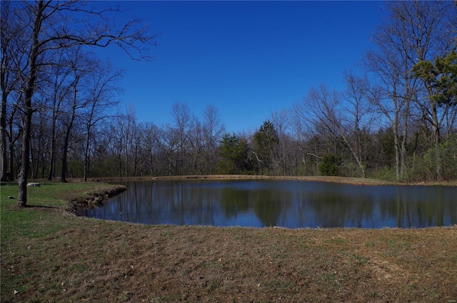 1077 Creech School Rd, Troy, MO 63379 - water view featuring a heavily wooded area